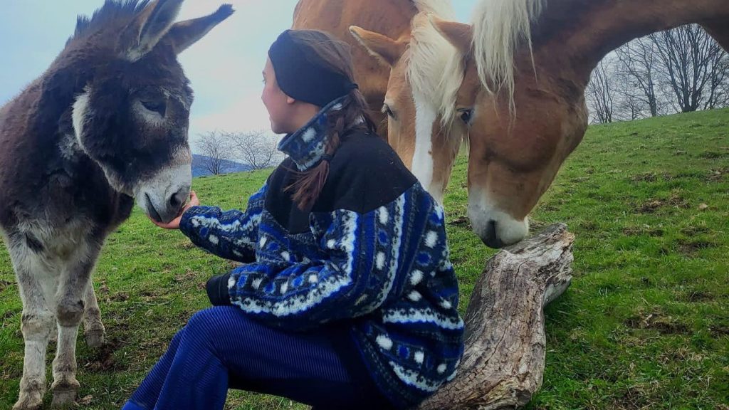 Kleinere Schützlinge am Gnadenhof